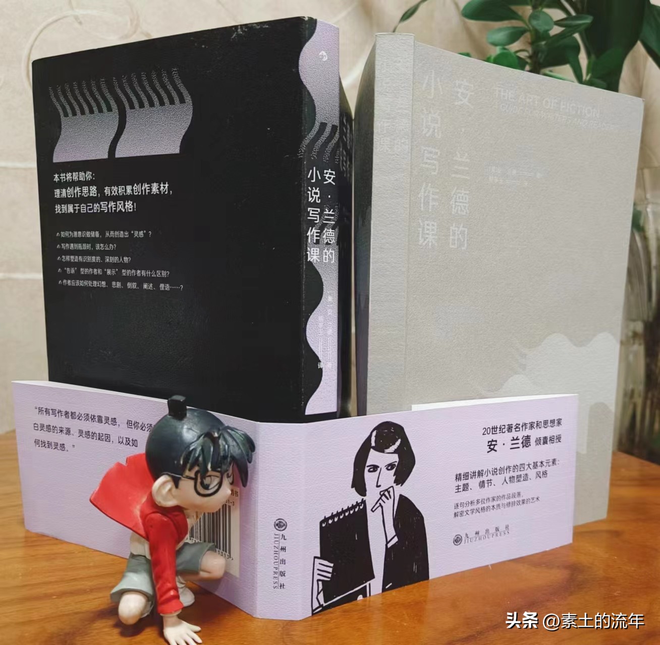 安兰德的小说写作课百度网盘,安兰德写作课