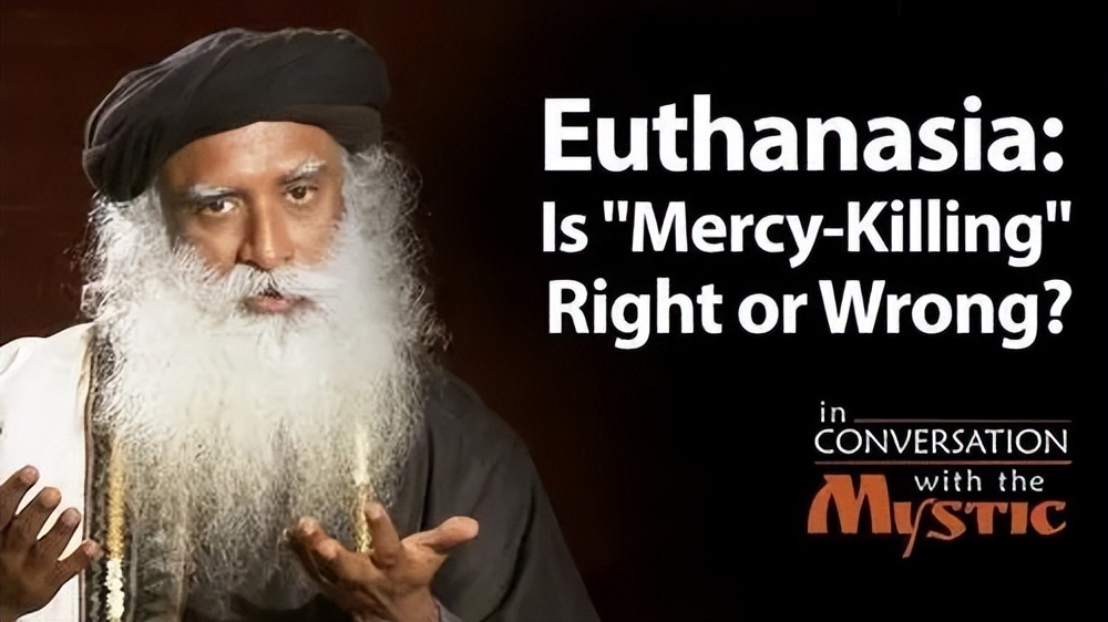 the词根是什么意思,英文的the是实词吗