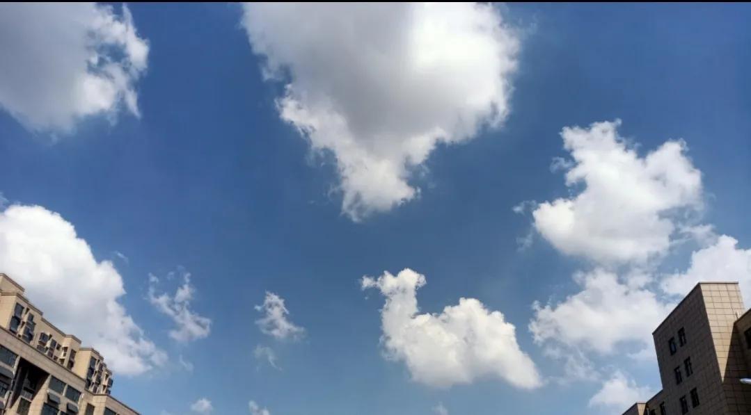 循证医学的治疗问题案例,循证医学与专家共识