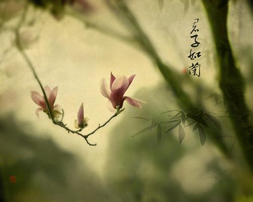 师徒情作文,师徒情深感人的文章