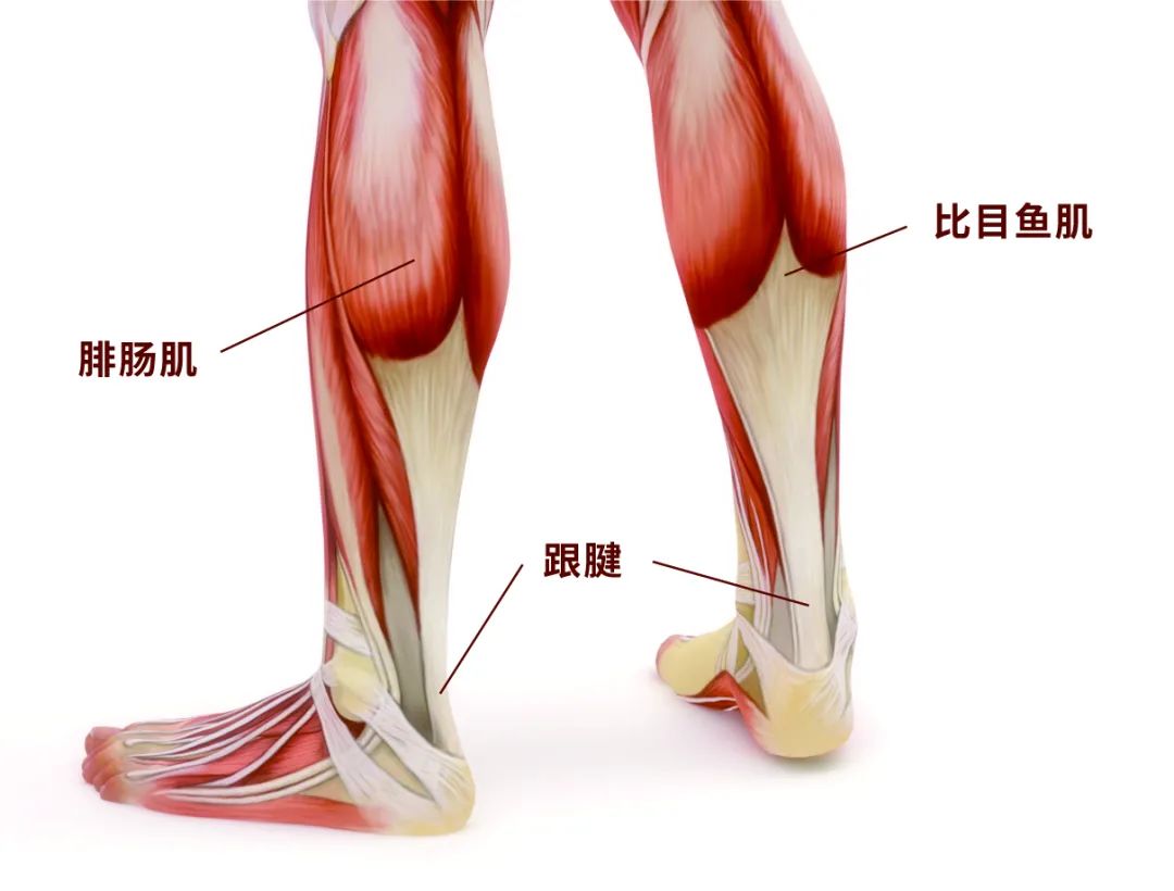 脑中风行走足尖下垂怎么办,脑卒中后有足下垂如何行走