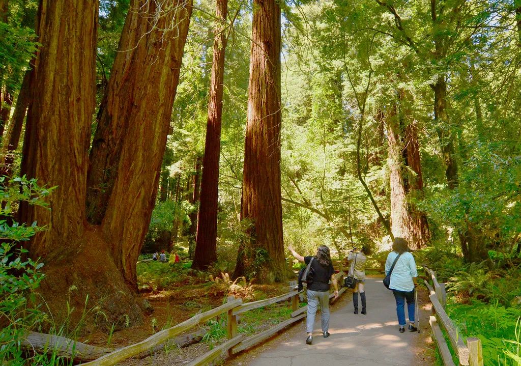 去大湾区读大学怎样,去大湾区干什么比较好