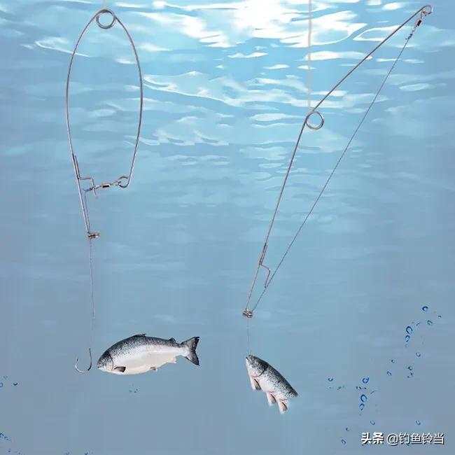 初学者必买的钓具,最不值得推荐钓具