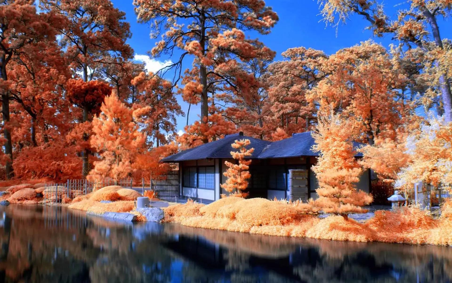 互联网获取流量的三种方法,互联网公司怎么获取流量