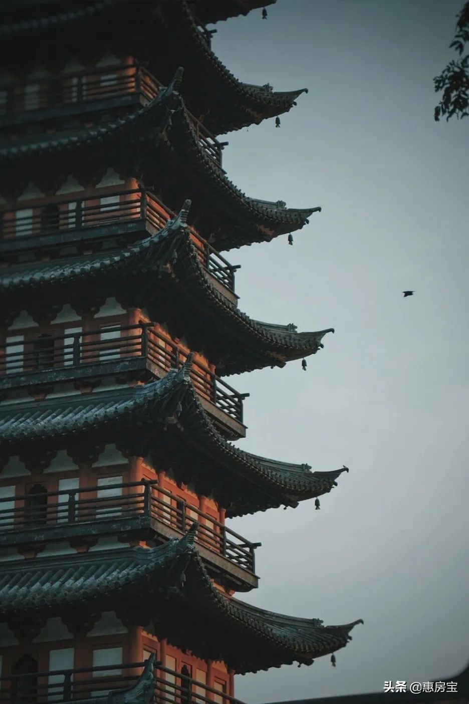 上海公园免费,上海免费公园排行