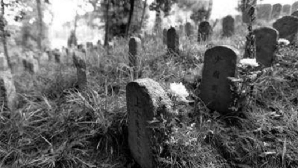 野人山幸存老兵回忆,老兵回忆野人山的恐怖