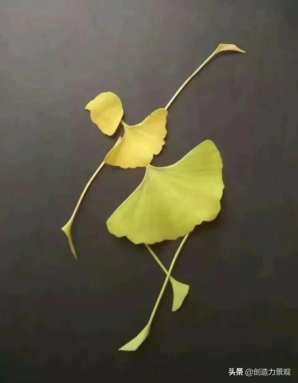 一花一草一世界原创花草,一花一草一世界花草之美