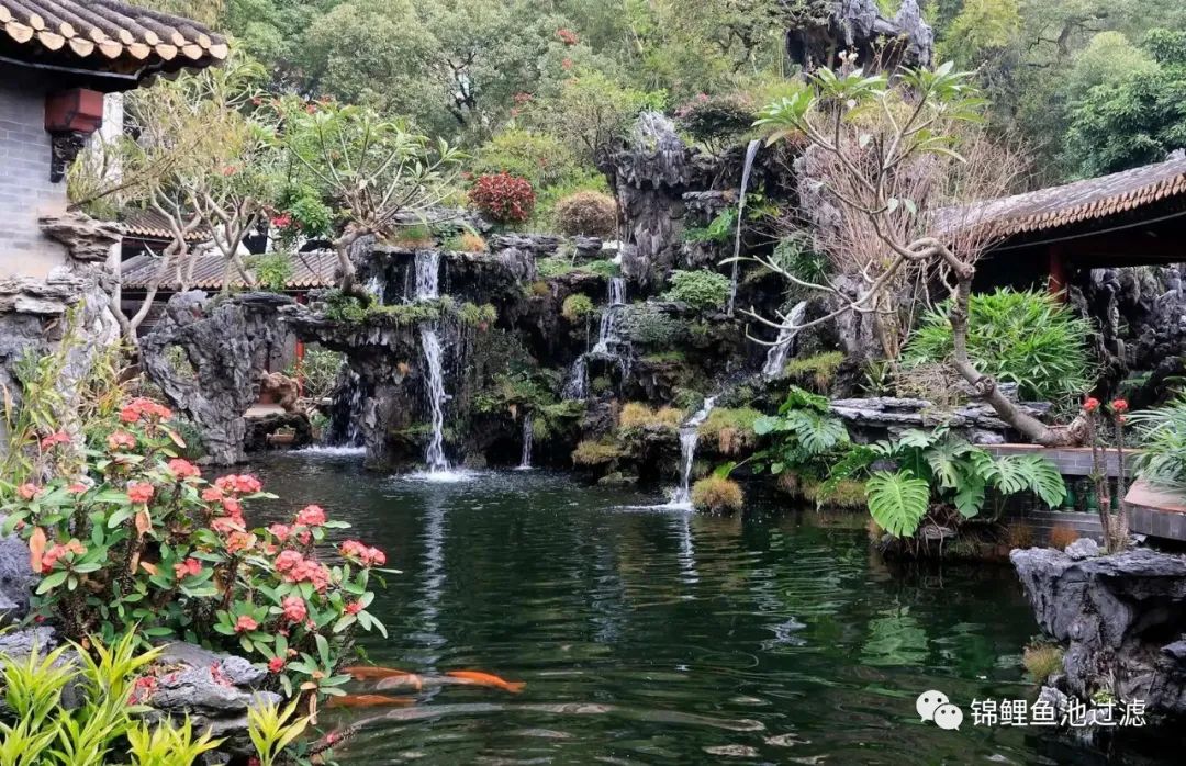 老绿水养鱼的优缺点,绿水养鱼怎么保持水质