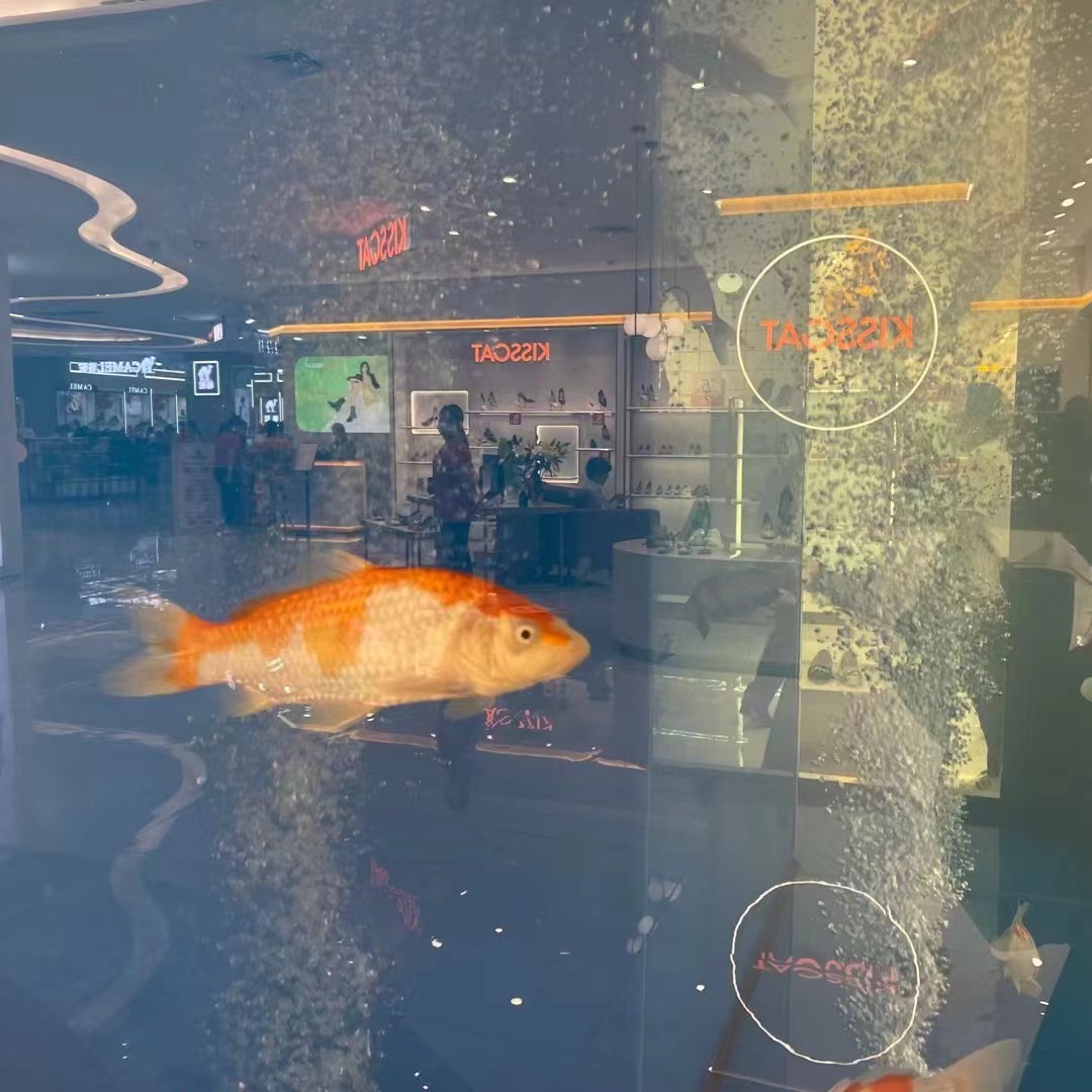 掂！旧梦！梧州梦之岛市政广场店又回来啦