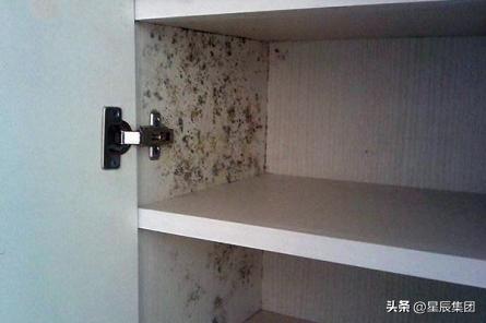 暴风雨天气如何自救,在发霉的环境呆久了会怎样