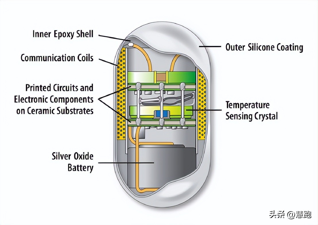 适合跑者的手表,今年新的苹果手表会有哪些亮点