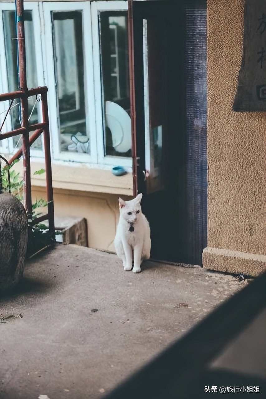 夏日海边浪漫迷人,滨城风光秀丽浪漫气息爆表