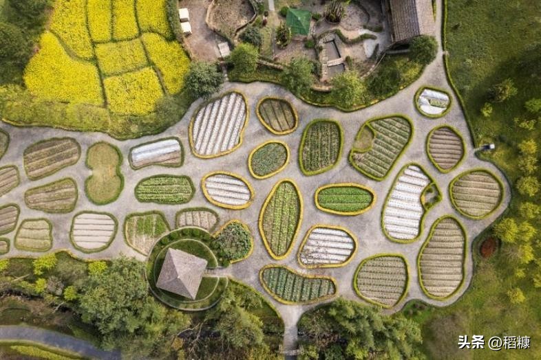 六善酒店什么档次,六善酒店内瀑布景观