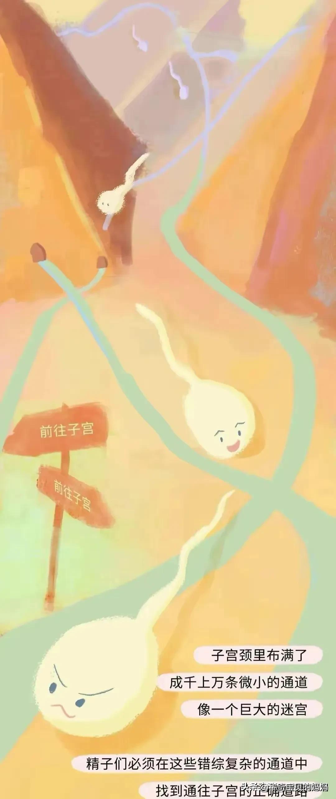 男生的“精子”进入女生体内，会发生怎样的变化？