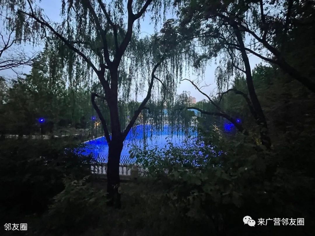 紫玉山庄最新消息今天,紫玉山庄最新动态