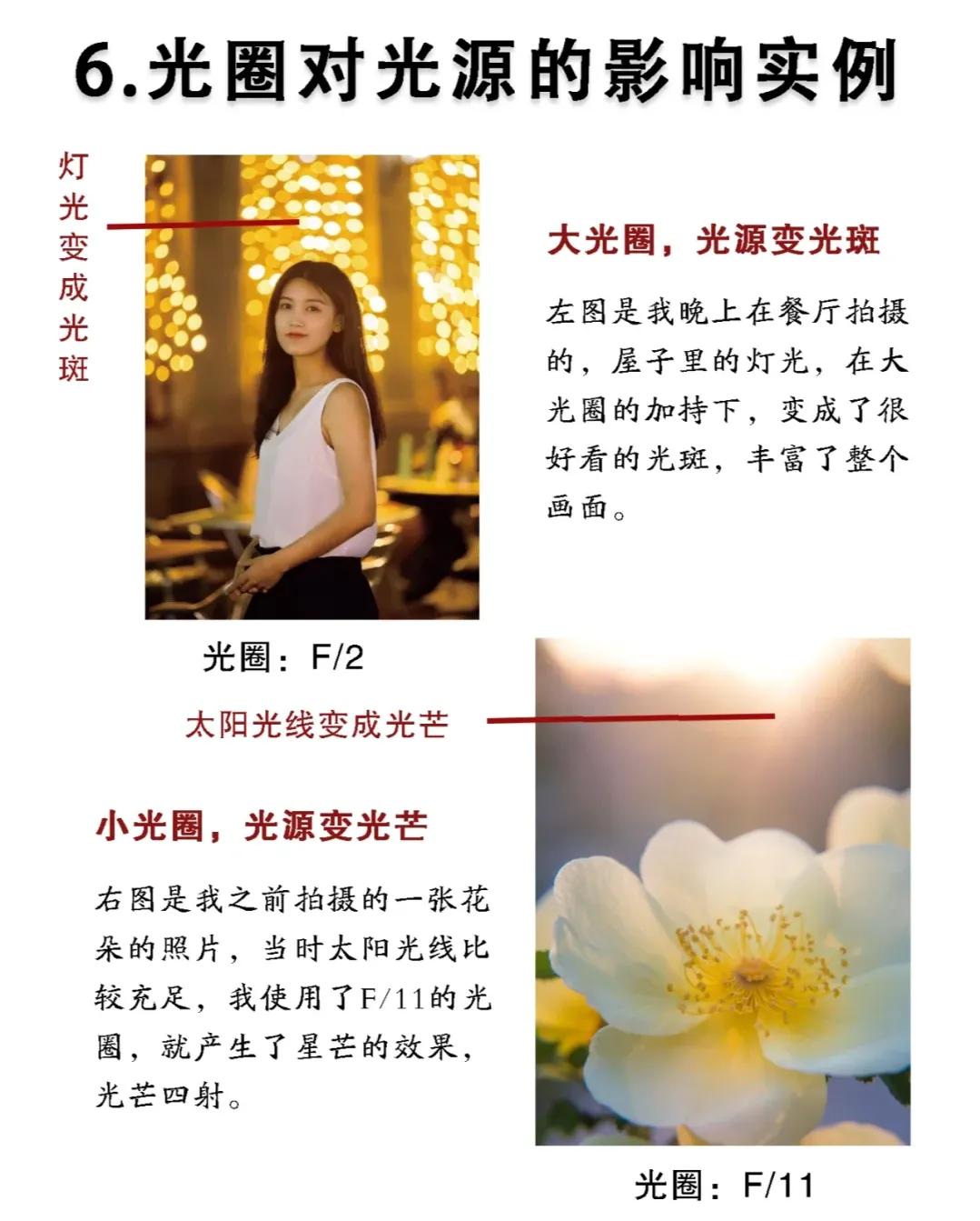 摄影知识光圈快门感光度,摄影入门光圈有哪些