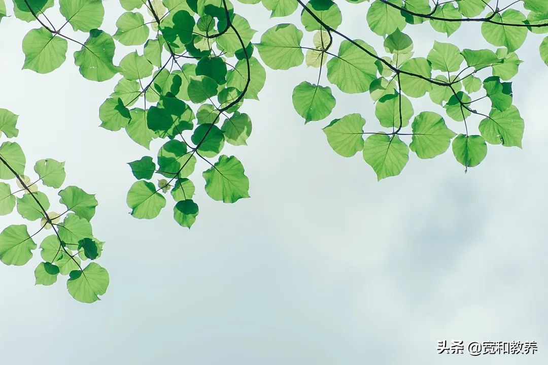 孩子不爱洗脸怎么引导,孩子不爱刷牙洗脸怎么办