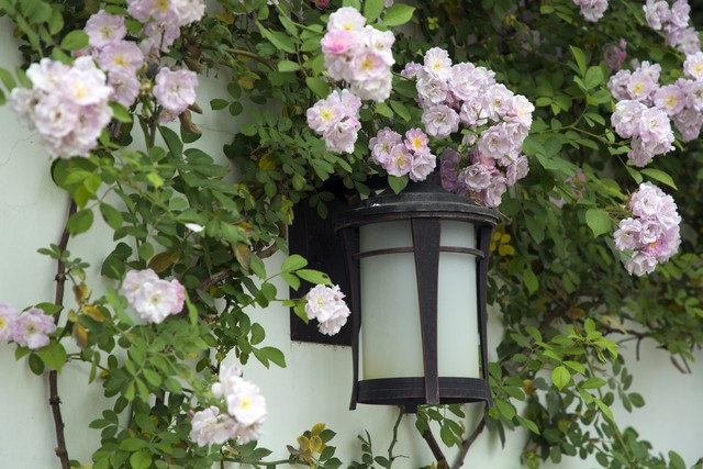 最美的情和最深的爱,最好的爱给最好的你