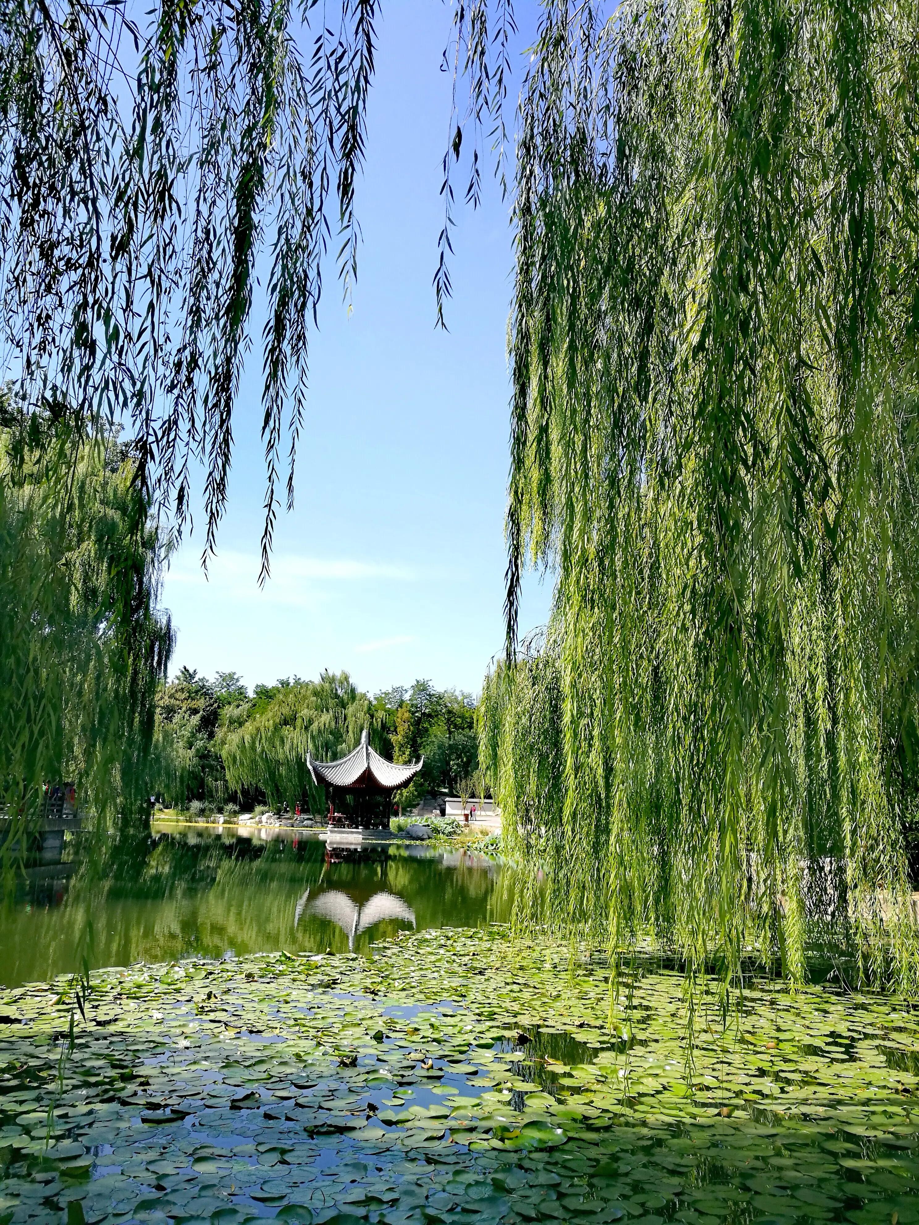 陶然亭水兵舞,陶然亭简介