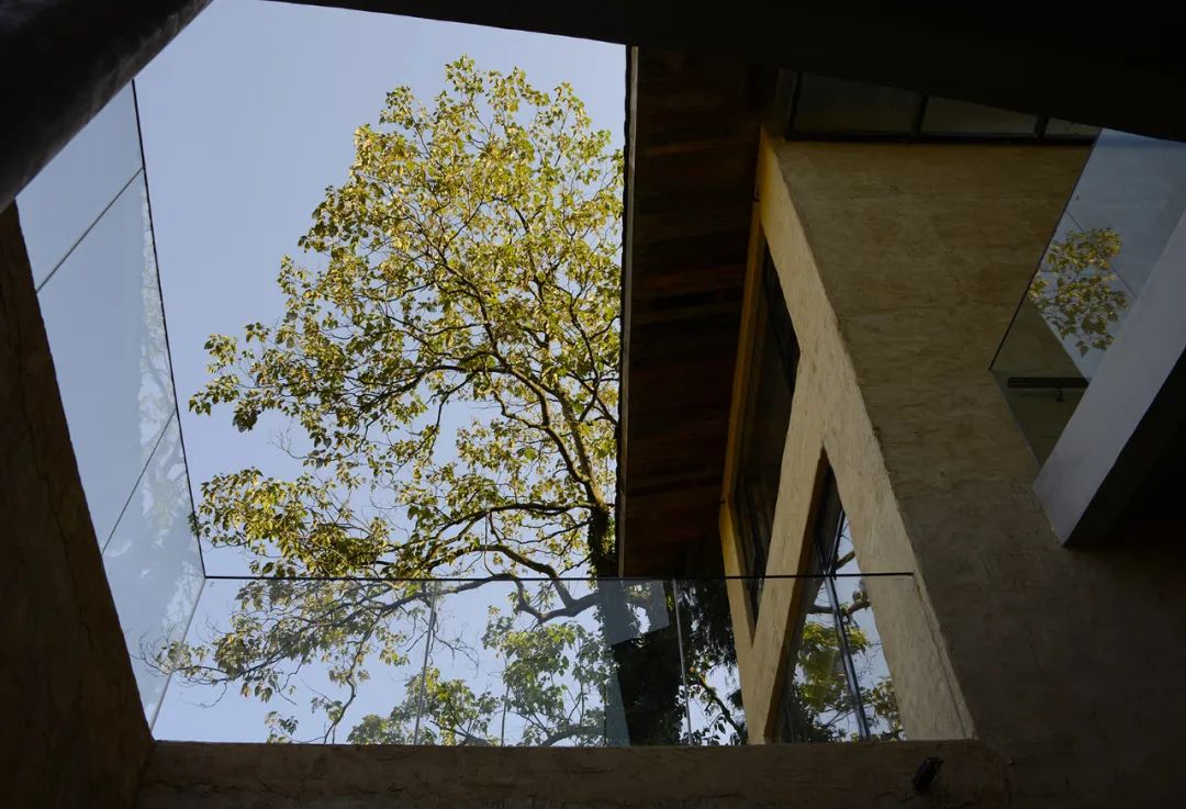 乡村振兴谋划不全不细典型案例,国内外乡村振兴典型代表及案例