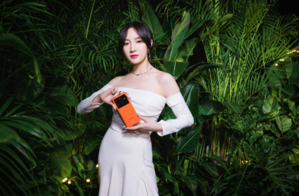 vivo天玑版和骁龙版价格,vivo天玑系列的性价比手机