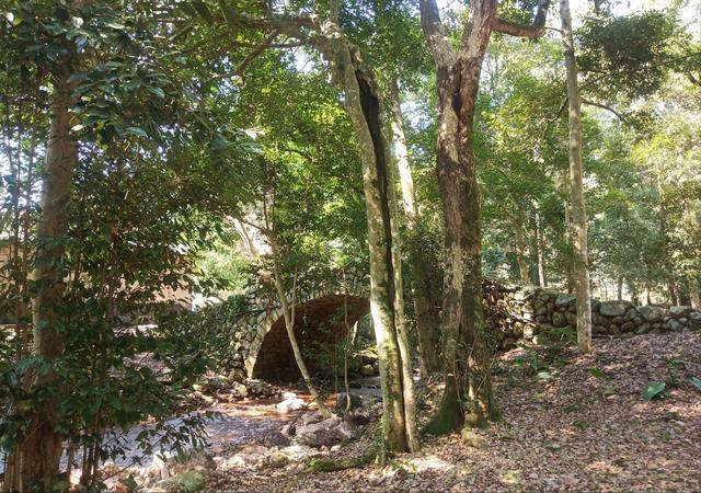 宁德市神农宫寺庙,宁德市神农宫5000年历史