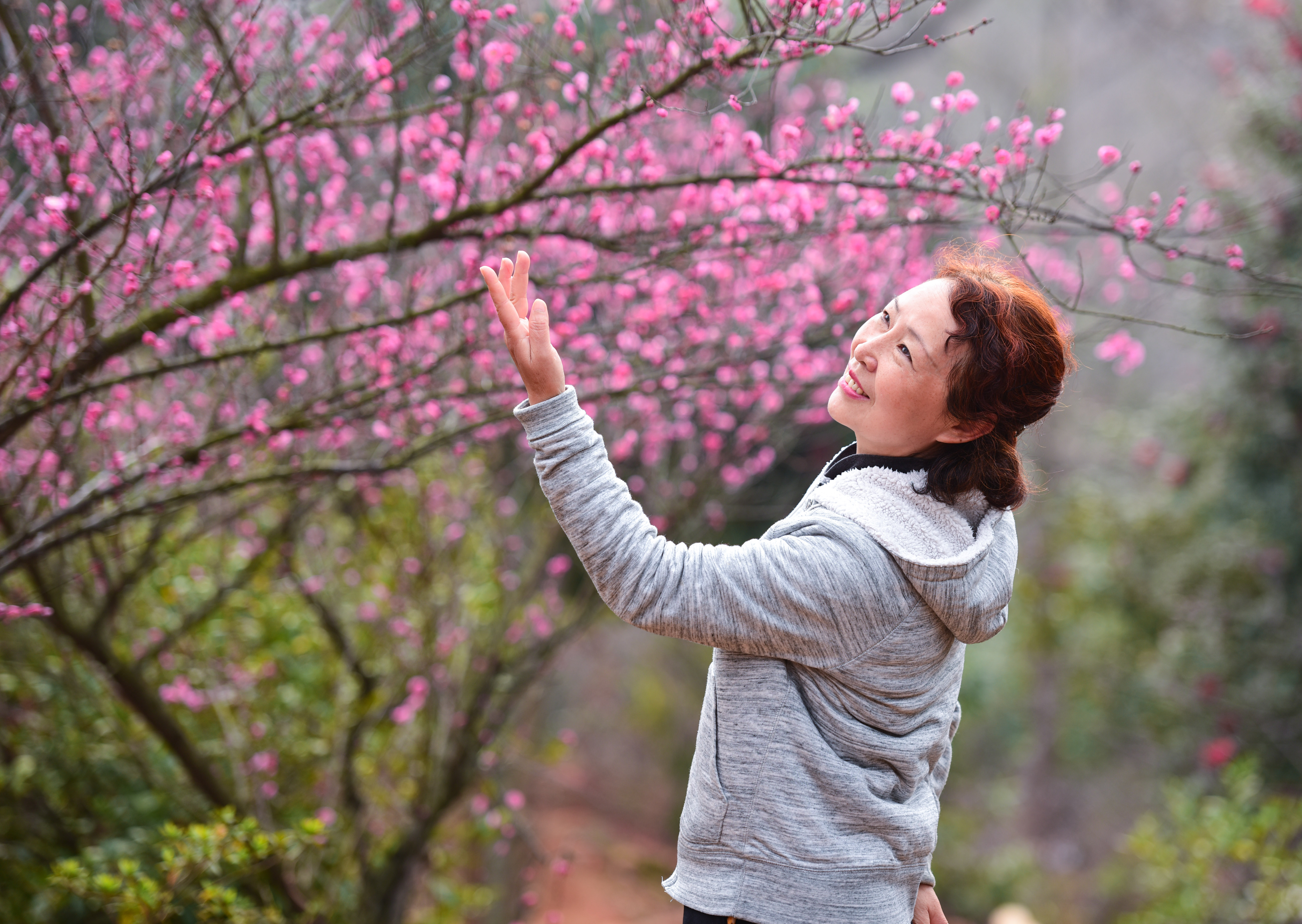 南昌赏梅好去处,南昌赏荷花的地方