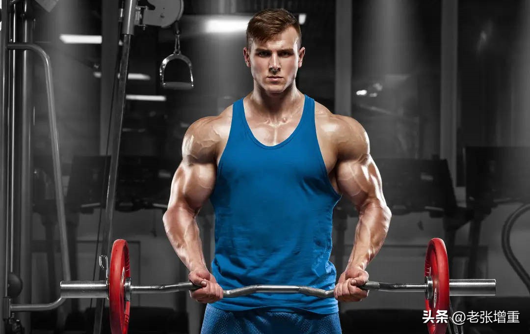 瘦子什么阶段吃蛋白粉,瘦子使用什么蛋白粉增重