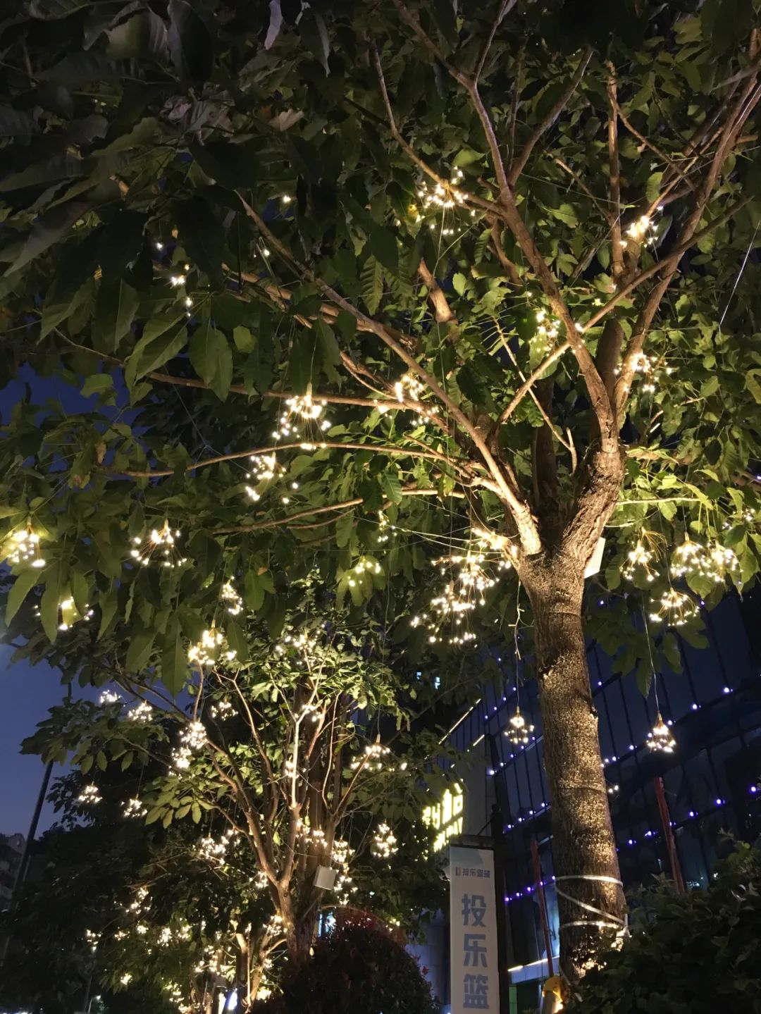 《旭光骑行深圳》第2站——龙岗区布吉街道