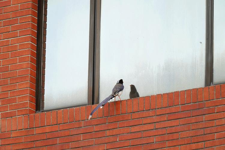 赏城中美景，品厦门味道。城市中心C位酒店，毗邻植物园、中山路