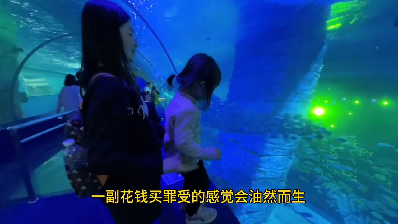 广州动物园二日一夜旅游推荐,广州公园动物园门票多少钱