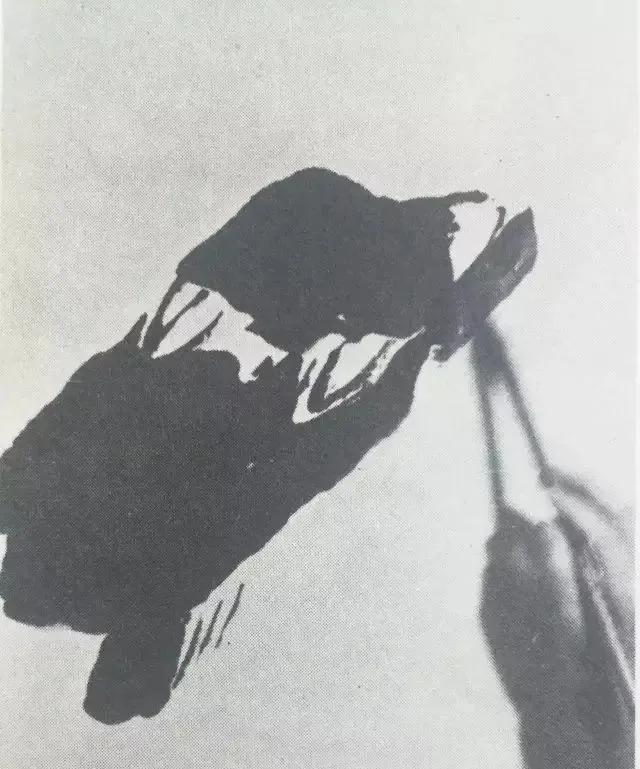 国画大师李苦禅一步一步教你画“四绝神鹰”，经典好学