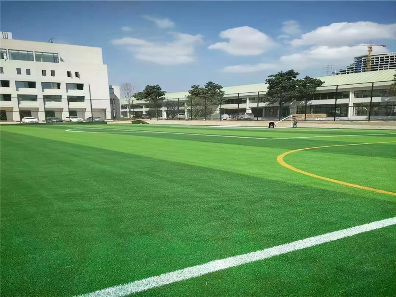 有口碑的人造草坪,人造草坪质量哪家好