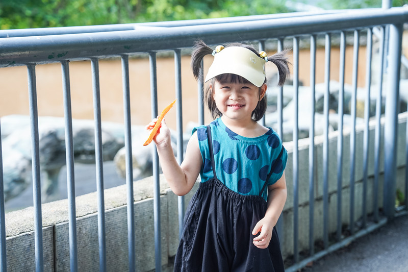 安吉中南百草园二天一夜攻略,安吉中南百草原刺激游乐项目