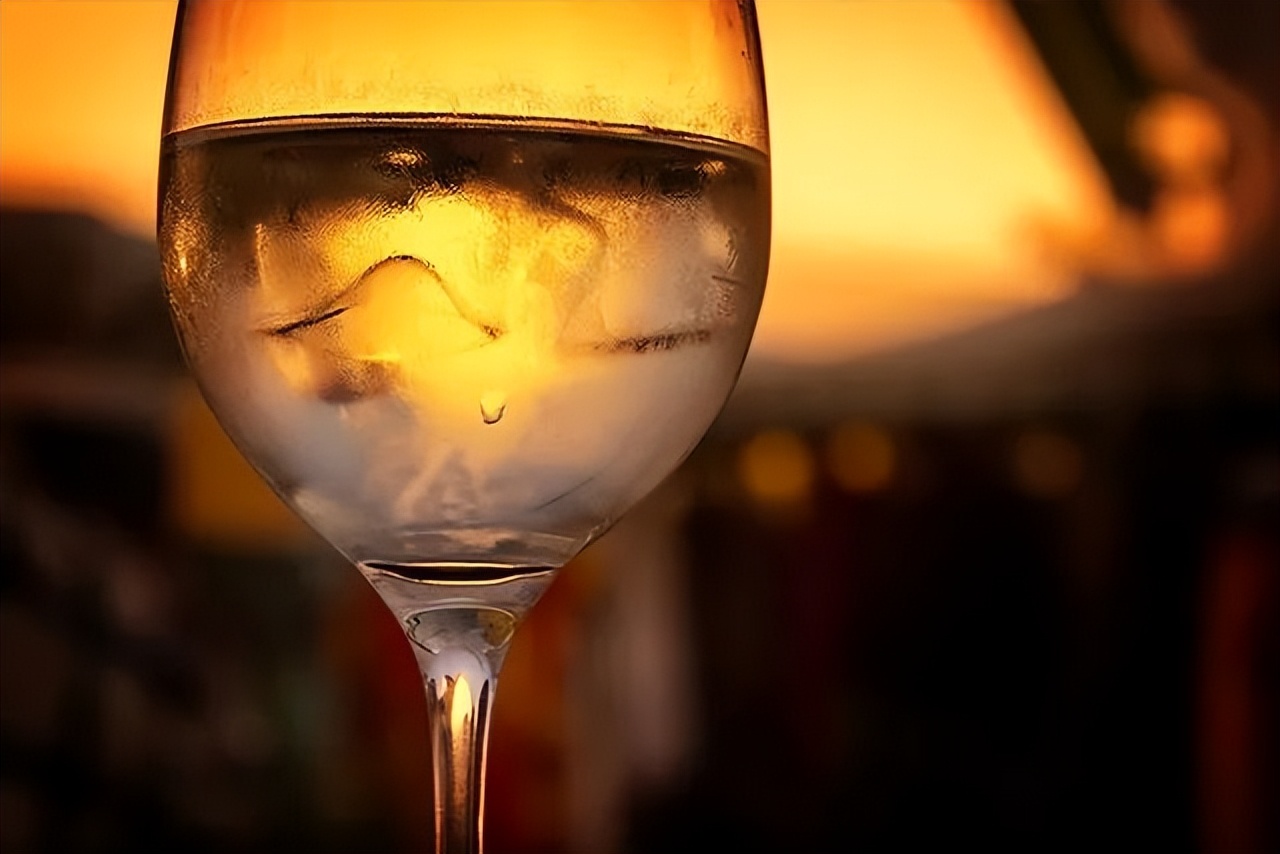 酒精发酵酵母出芽率,酿酒酵母培养