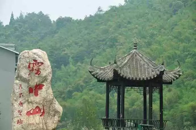 1.5h刹拢！被誉为川版“花城”，这个宝藏好耍地美得不像话