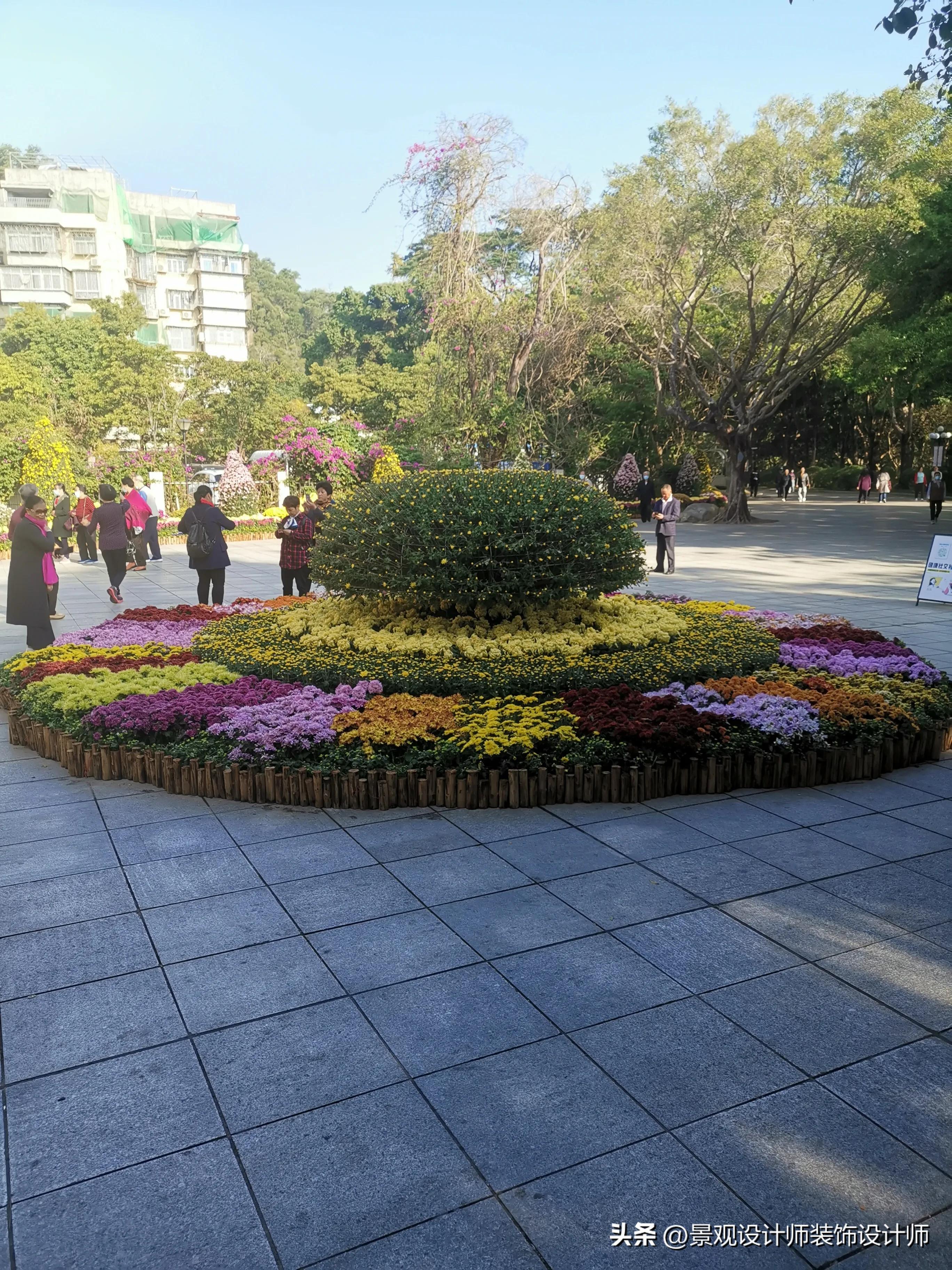 深圳市东湖公园广场舞,深圳市东湖公园收费标准