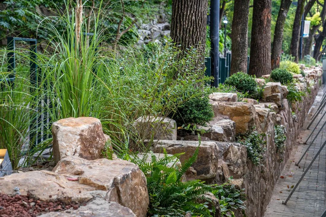 鲁迅公园在闭园一年后重新开放,鲁迅公园暂停开放了吗