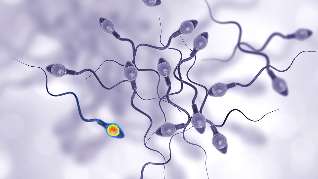 月经走后就有妇科病为啥,月经走后又来了需要吃药制止吗