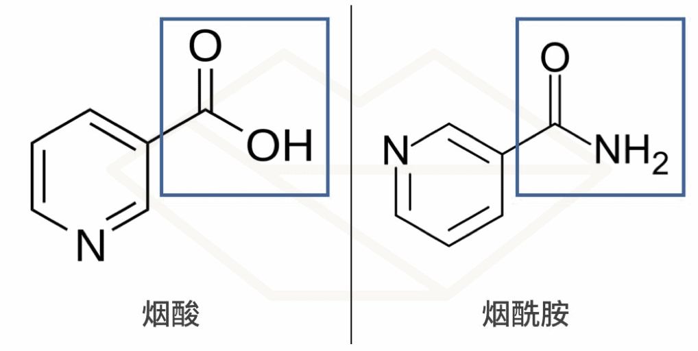 全球最火抗老成分大盘点，全在这里！体验平价抗衰
