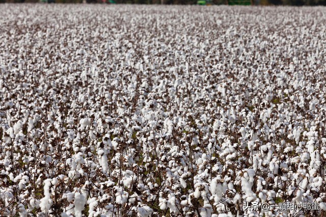 大宗商品需要什么资质,大宗商品交易是什么工作