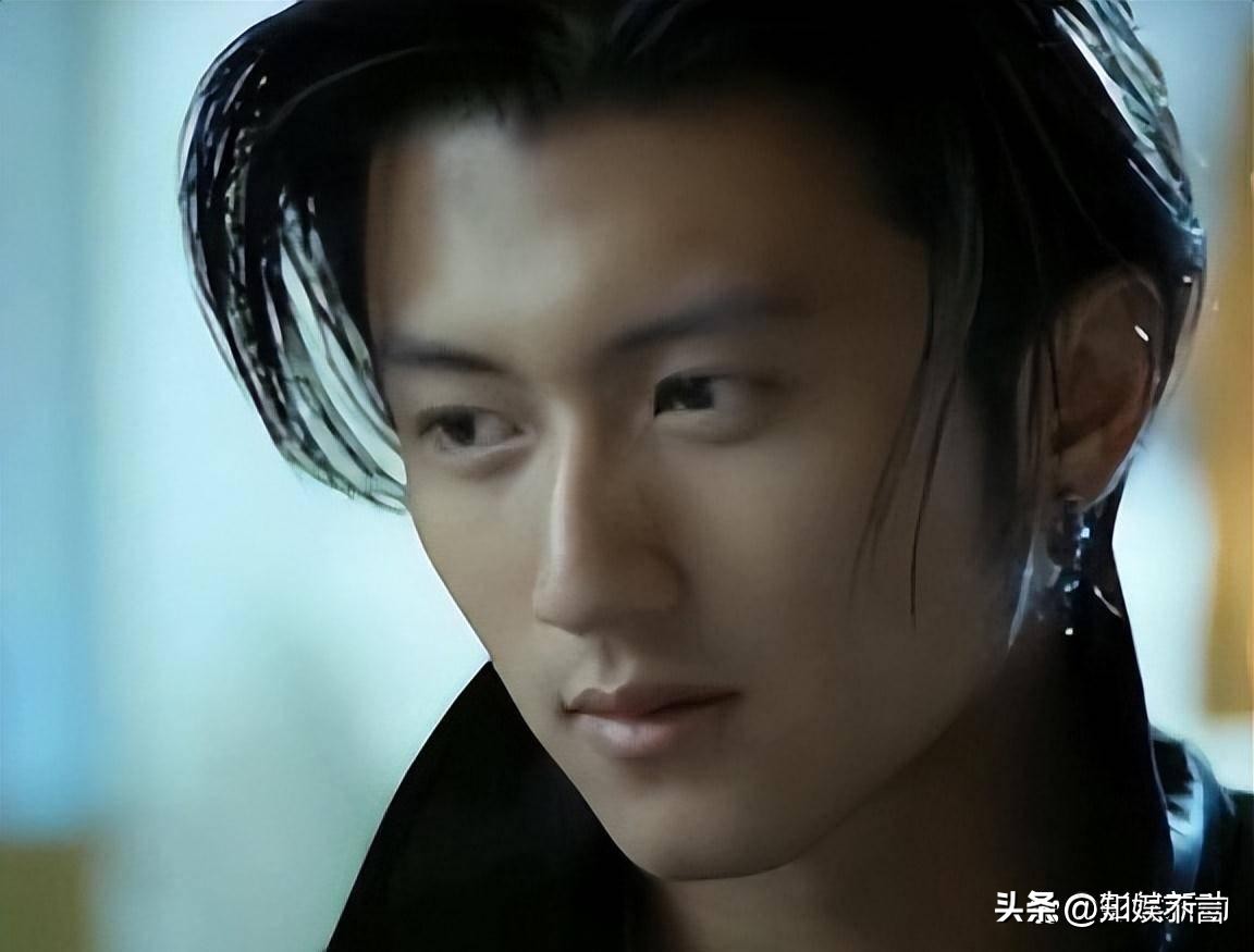 王菲谢霆锋详细相恋过程,王菲和谢霆锋是相差几岁的姐弟恋