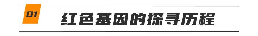基因技术重大突破,基因科技的重大突破