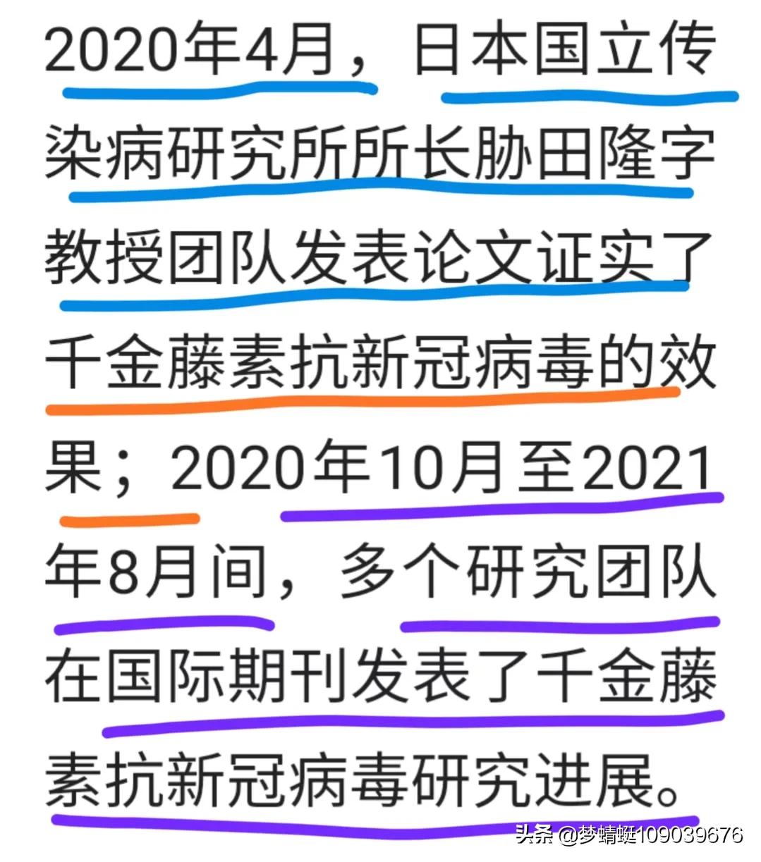 千金藤素：谁能主先锋？