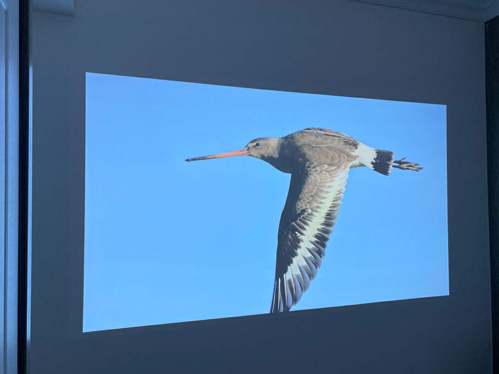 太卷了！亮度1300CVIA、帝瓦雷调音，AOCK1智能投影或成4K段爆款