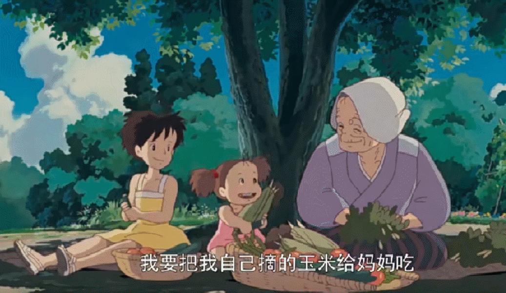 宫崎骏龙猫原型是什么动物,宫崎骏龙猫原型什么颜色