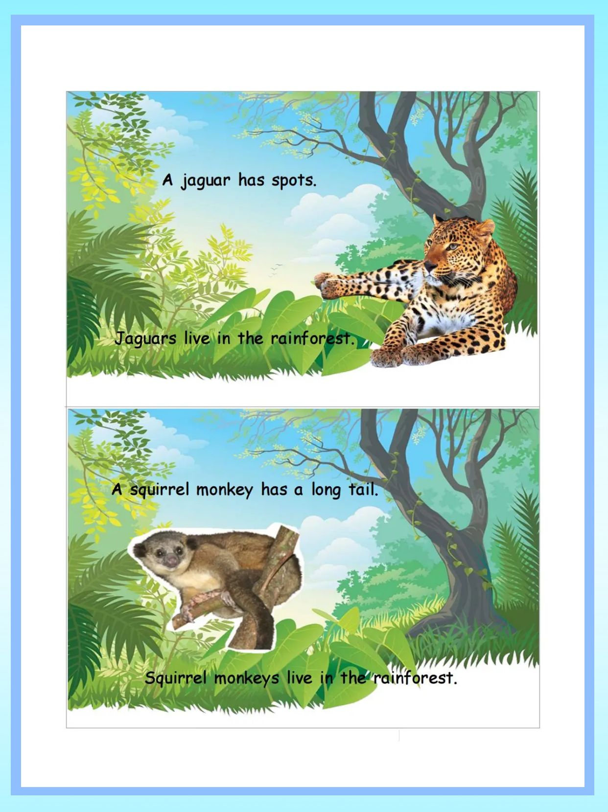 🌿🐒宝藏发现！雨林动物的神秘配对游戏曝光，你了解吗？🔍