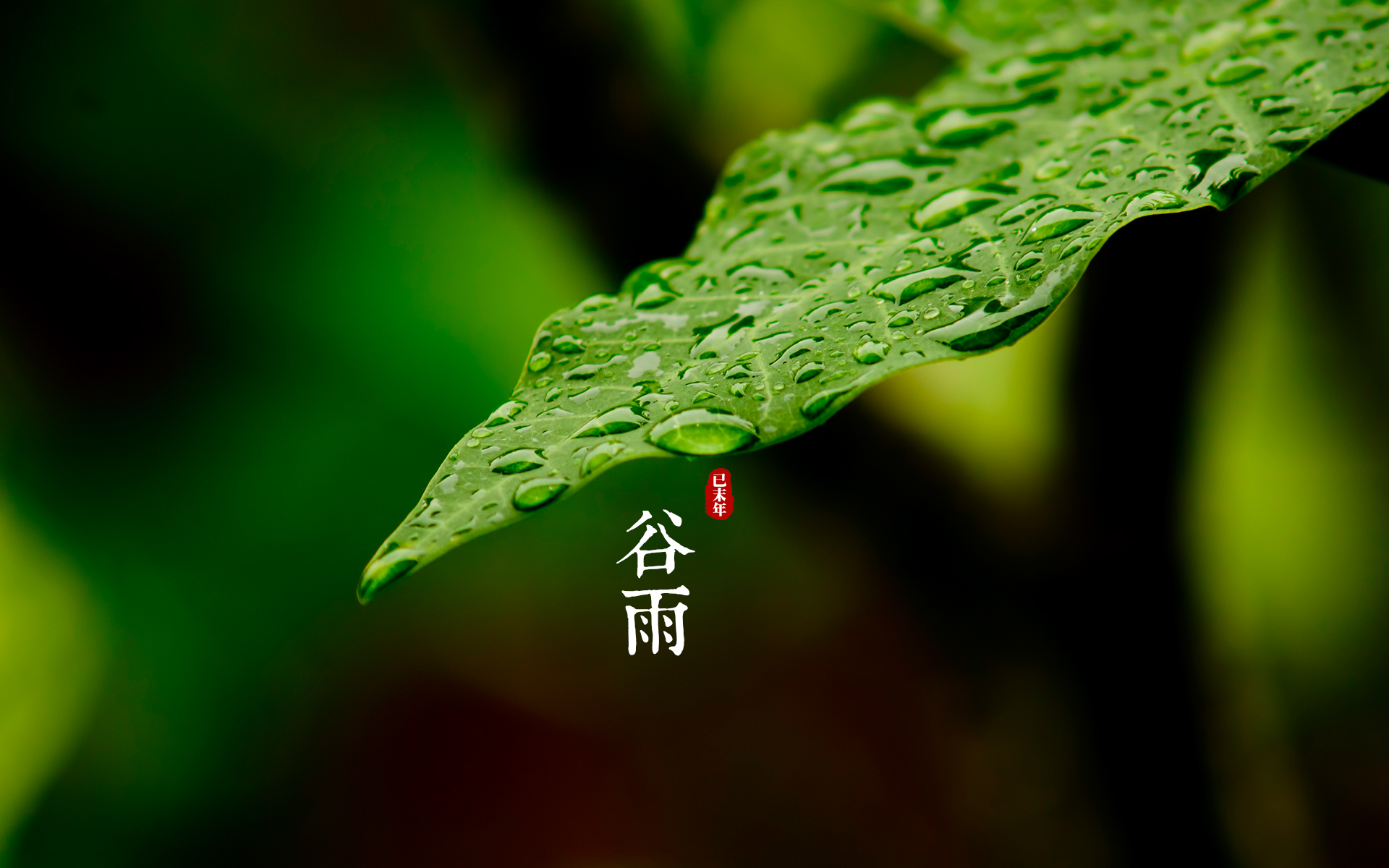 十首谷雨诗词留住最后一抹春色,古诗词名句网谷雨十首最美诗词