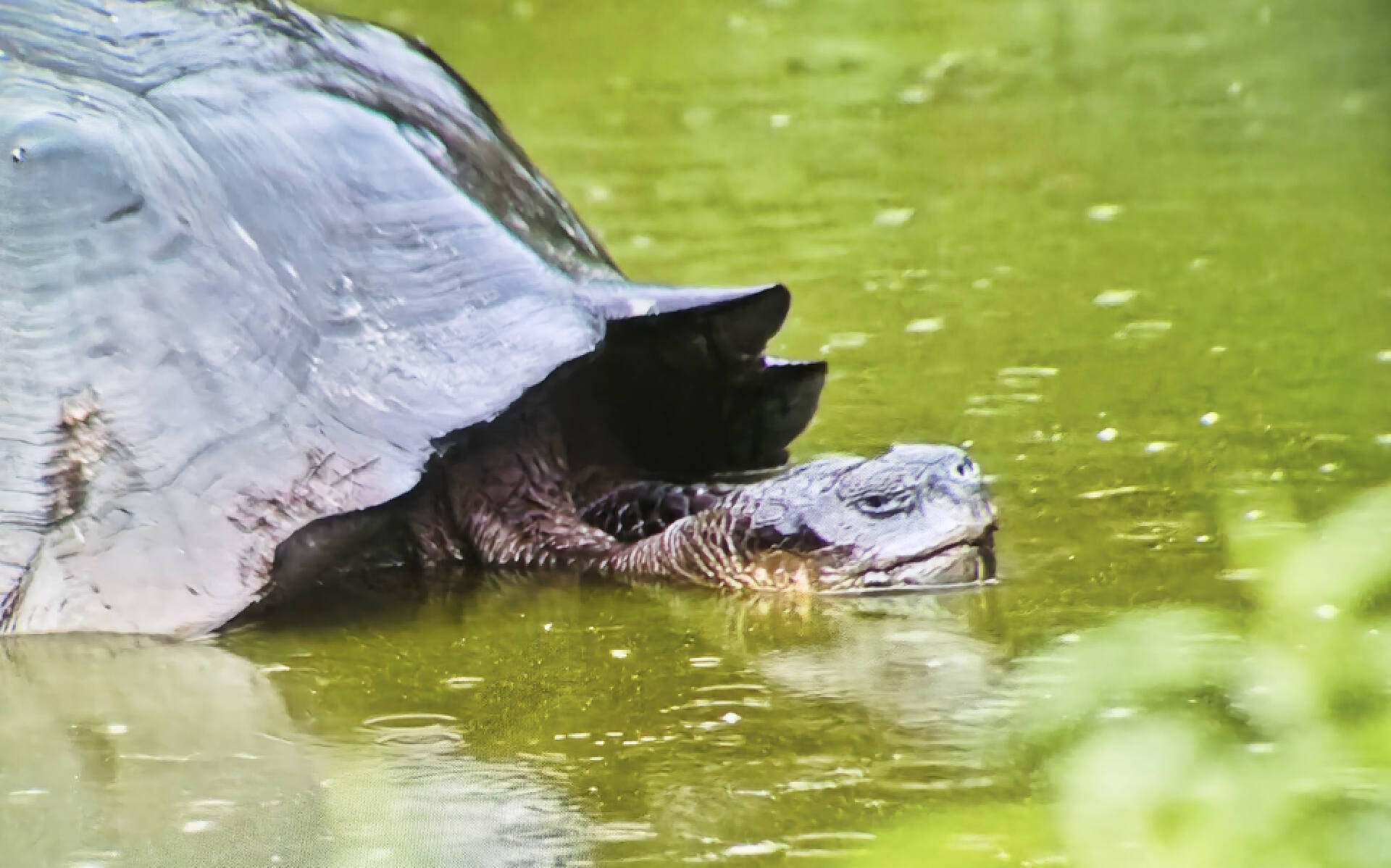 苹果vr什么时候发布,goovisg3maxvr头显发布