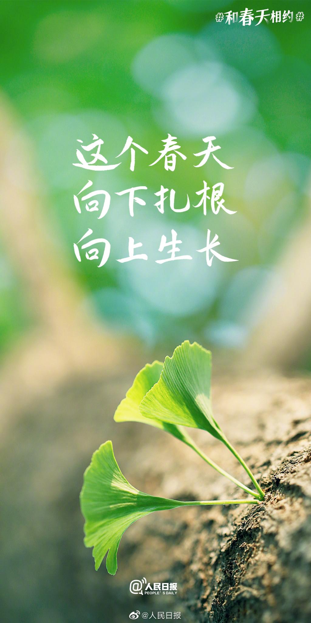 超级好看的春天壁纸高清,五张最适合你的春日壁纸